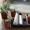 Stainless Steel Long Spout Watering Can for Indoor Plants