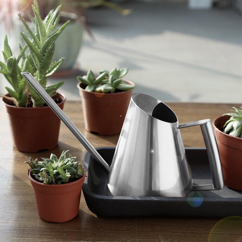 Stainless Steel Long Spout Watering Can for Indoor Plants