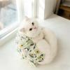 Cat Spaying Surgical Suit, Breathable Pure Cotton Clothes, Weaning Suit, Male Cat Protection Suit, Post-surgery Pet Care