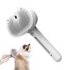 Pet Spray Hair Comb Pet Hair Remover Cleaning Brush Cat Steam Brush Pet Grooming Comb Pet Massage Beauty Comb