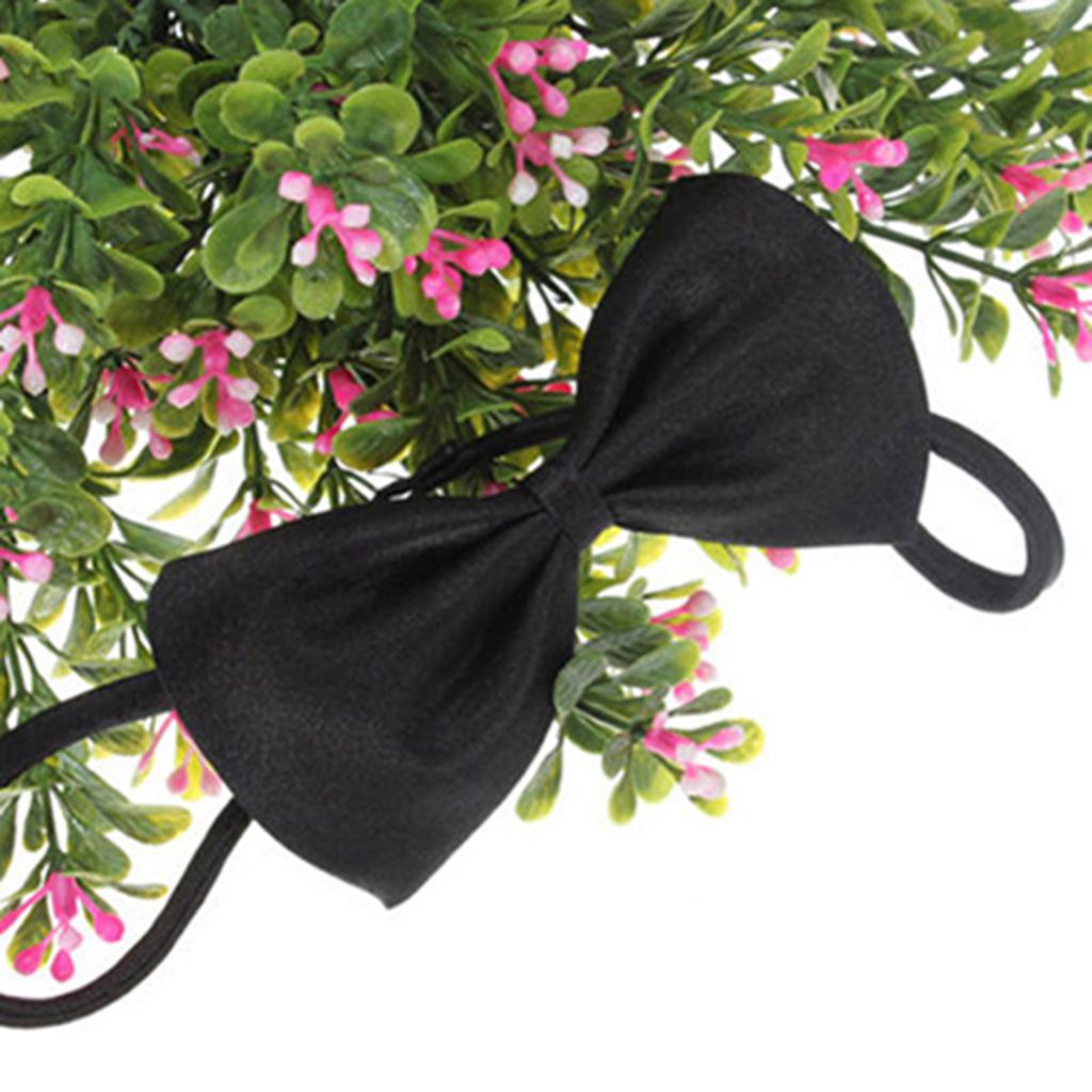 Söt enfärgad justerbar kattfluga för hundhalsband Bowknot slips fluga
