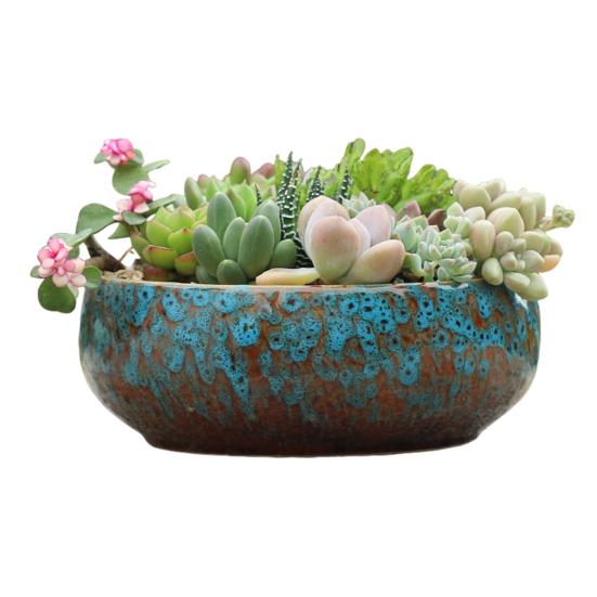 

Керамическая чаша-лото для водных растений, герметичный гидропонный цветочный горшок синий