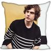 Hot Evan Peters Star Pillow Case For Home Decorative Pillows Cover Invisible Zippered Throw PillowCases 45X45cm