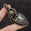 Ortho Fossil Pendant Copper Wire Wrapped Pendant Handmade Brand New Pendant Rainbow Moonstone Pendant Gemstone Pendant Wire Jewelry For Gift