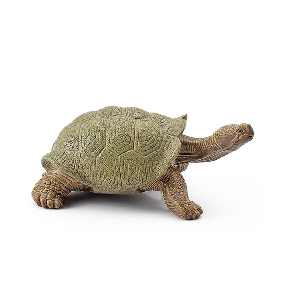 Realistic Turtle Action Figure Lifelike Amphibian Reptile Model Ornaments For Children Gifts Home Decoration