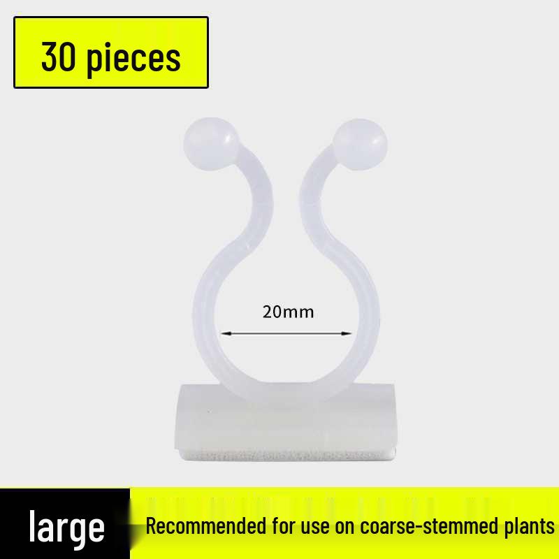 Pothos Climbing Clips: Rose Green Plant Wall Hooks for Vines