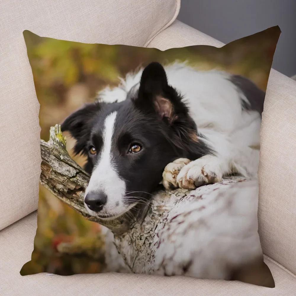 Cute Pet Animal  Cushion Cover Scotland Border Collie Pillowcase for Sofa Car Decor Dog Printed Soft Plush Pillow Case