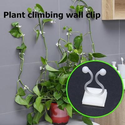 10Pcs/Set Plastic Plant Climbing Holder Drill Free High Quality Garden Support Binding Vine Wall Hook