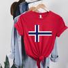 Norway Flag Shirt and Kids Tshirt Norwegian T-Shirt and Kids Tshirt Norge Shirt and Kids Tshirt Nordic Cross Tee