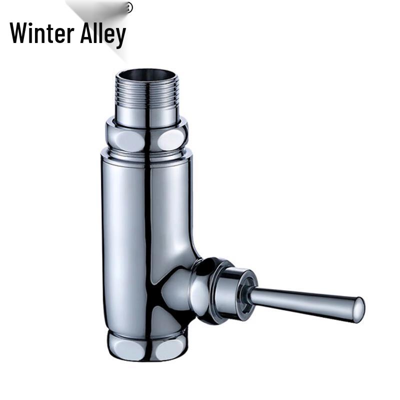 Self-Closing Delayed Flush Valve for Squat Toilets