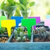 100PCS T-Type Plastic Garden Plant Labels Waterproof Flower Tags Nursery Seedling Markers Bonsai Identification Tags Gardening Tools