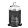 Eternal Life Flower Glass Storage Jar 8 Colors Cloche Dustproof Jar  Bedroom Decoration