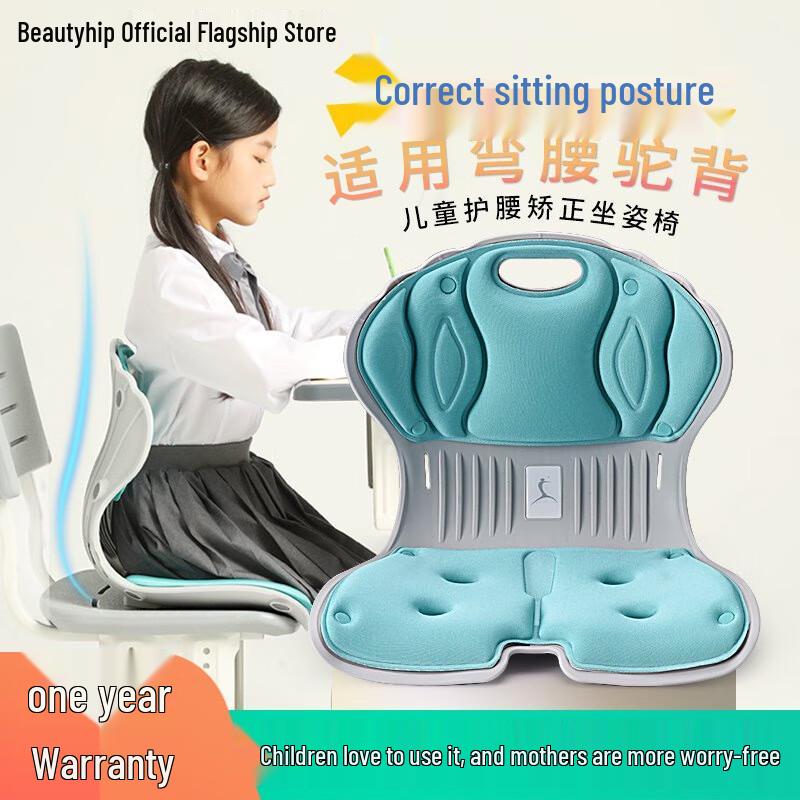 Aige Ergonomic Lumbar Support Cushion