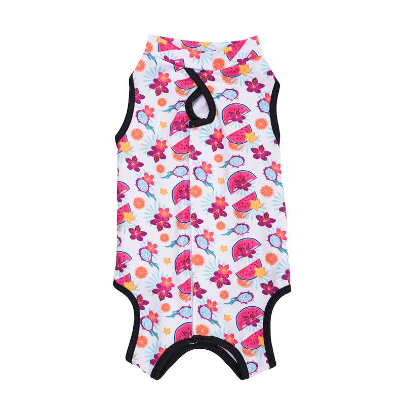 Kleidung zur Genesung nach einer Tieroperation: Katzen- und Hundebekleidung für alle Jahreszeiten