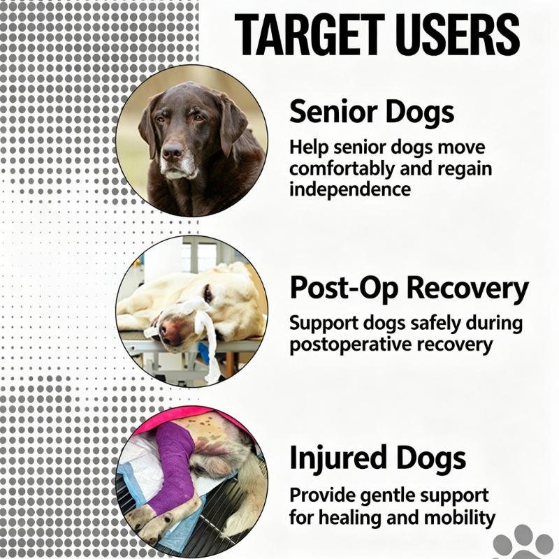 Two-Part Dog Support with Front Walking Section, Rear Support Section, and Side-Release Buckles for Daily Use