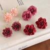 Retro Preserved Flower Earrings Sweet Romantic Ear Hooks Elegant Artificial Rose Earrings  Wedding