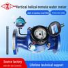 Cast Iron Remote Water Meter, Large Diameter Vertical Helix, RTU Pulse, Flange Seal, Smart for Hot/Cold Water