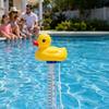 Yousheng Swimming Pool Floating Thermometer, Flamingo Turtle Duck Goldfish Shark Water Temperature Gauge, Easy Read Bathtub Hot Tub Temperature