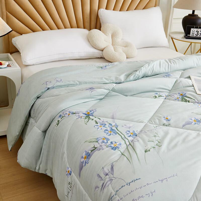 Begaman BGM-BX241 Lavender Soy Fiber Warm Quilt