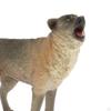 Animal Model Action Learning Party Favors Toys Animals Figurines Cake Topper Toy
