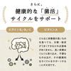 Hasuya Amazake Protein, Amino Acid Score 100 [Gentle On the Body, Easy To Drink] Soy Protein, Plant-Based Protein, 300g