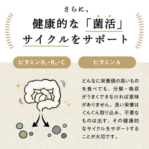 Hasuya Amazake Protein, Amino Acid Score 100 [Gentle On the Body, Easy To Drink] Soy Protein, Plant-Based Protein, 300g