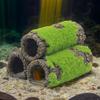 Pești și animale marine – Decorul acvariului