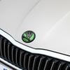 2025 New 80mm 90mm ABS Emblem For Skoda Fabia 1 2 Octavia a7 RS Superb Rapid Yeti Karoq Vision Car Head Front Rear Boot Tailgate