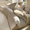 Ins Style Cotton Brushed Stripe Bedding Set: Skin-Friendly Bed Sheet, Duvet Cover, and Bed Skirt for Student Dorms