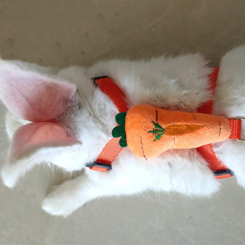 Small Animals Outdoor Wakling Supplies Cartoon Style Rabbit Harness and Leash Set for Bunnies Guinea Pig Bunny Accessoris Pet 1