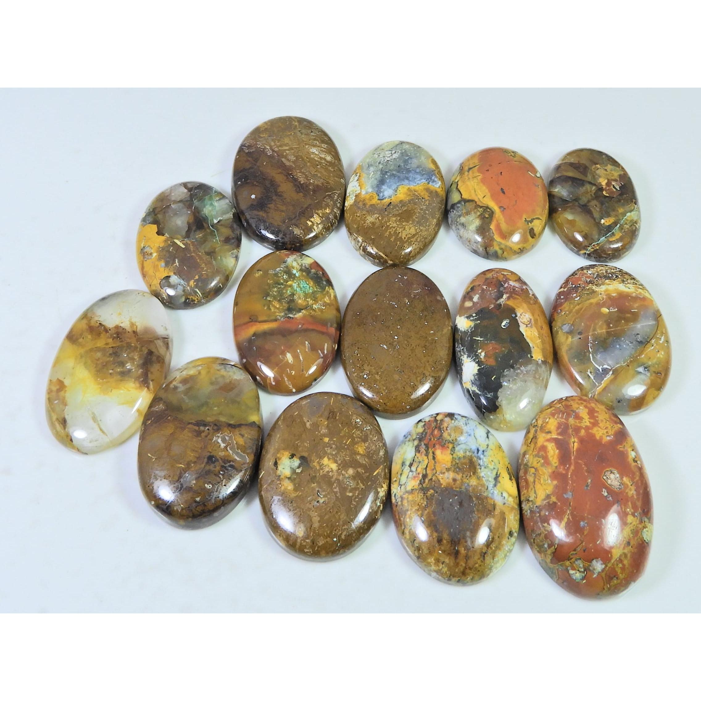 280Cts. Natural Forest Agate Oval Cabochon Loose Gemstone 14 Pcs Lot C-1969