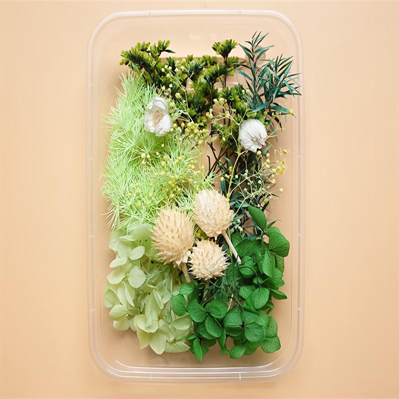 Multicolor Dried Flowers & Leaves DIY Craft Kit Resin Molds for Jewelry, Nail Art, Candles, Soap Making & Home Decor