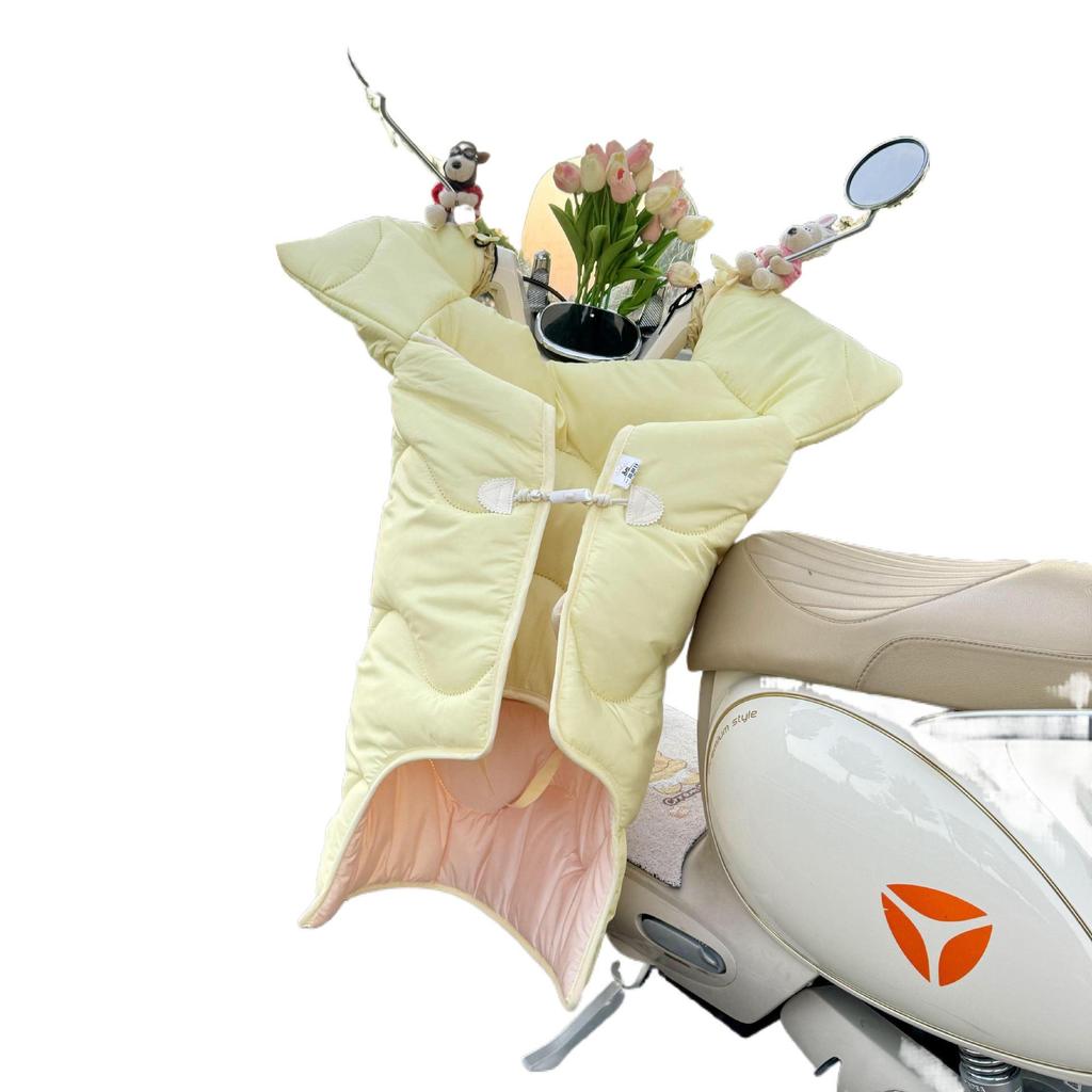 All-Season Electric Car Windshield Cover: Extra Large, Thick, Double-Sided & Waterproof with Side Wings