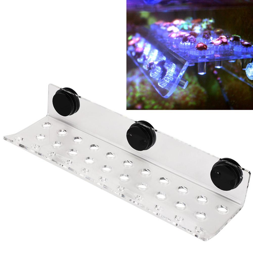 Aquarium Marine Coral Racks Bracket Holder Fish Button Frame Enhanced Suction Cup