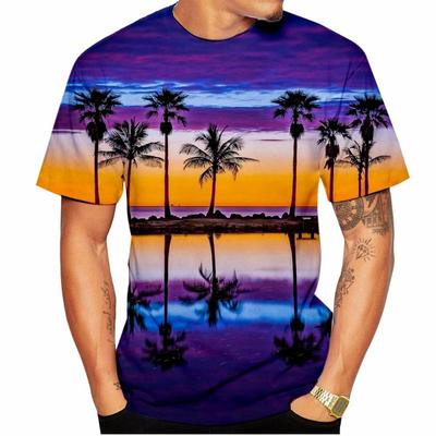 Magliette Streetwear da Uomo alla Moda con Stampa 3D di Paesaggi Estivi Hawaiani, Magliette a Maniche Corte Girocollo Oversize