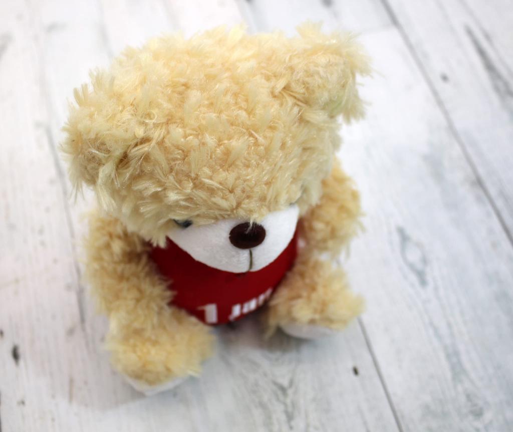 Takeoff Plush Toy BEAR'S365 January Beige