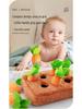 Cross-Border Plush Carrot Toy for Pet Chew & Kids' Early Education
