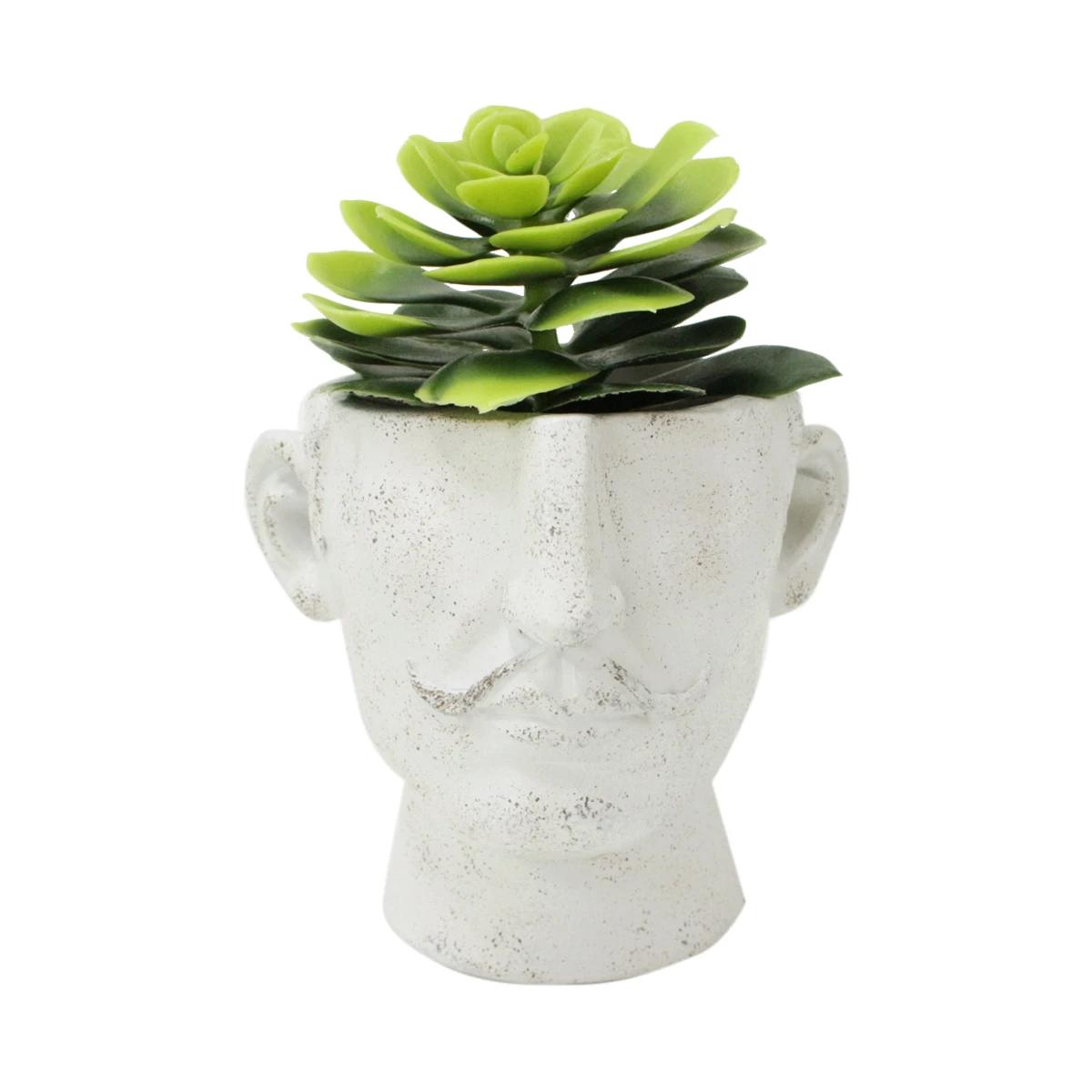 

1 шт./Умный и юмористический горшок для цветов в виде бороды - Винтажный сельский стиль - Легкий современный горшок для цветов из смолы с дренажными отверстиями none