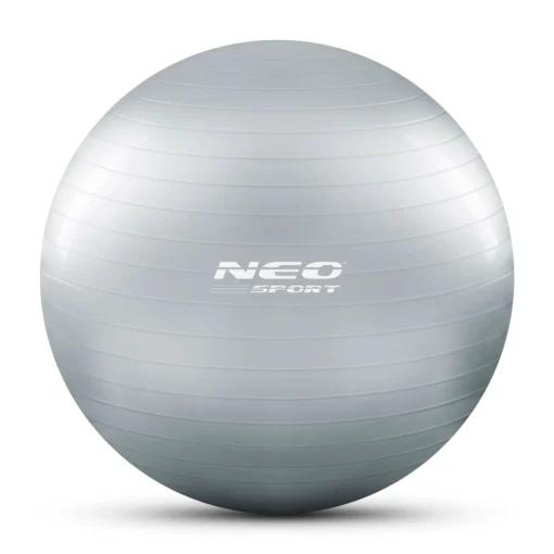Gymnastic Inflatable Ball 65cm Neo Sport - Gray