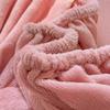 Bedding Set Thicken Velvet Bed Cover Elastic Bed Sheets Set Mattress Cover Winter Milk Velvet Sleeping Mattress Topper