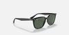 Sunglasses RB4362F BLACK 55 Ray-Ban
