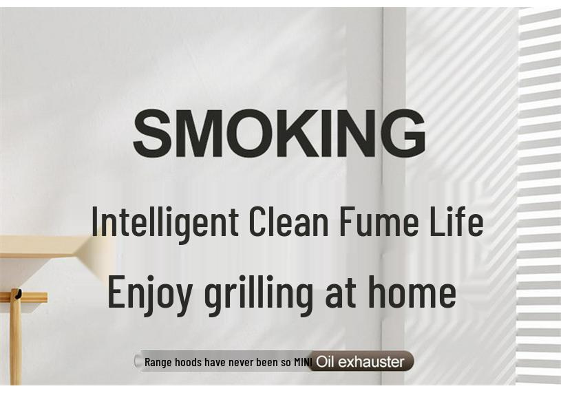 Mini Home Smoke Extractor: Desktop Barbecue & Hot Pot Oil Fume Filter