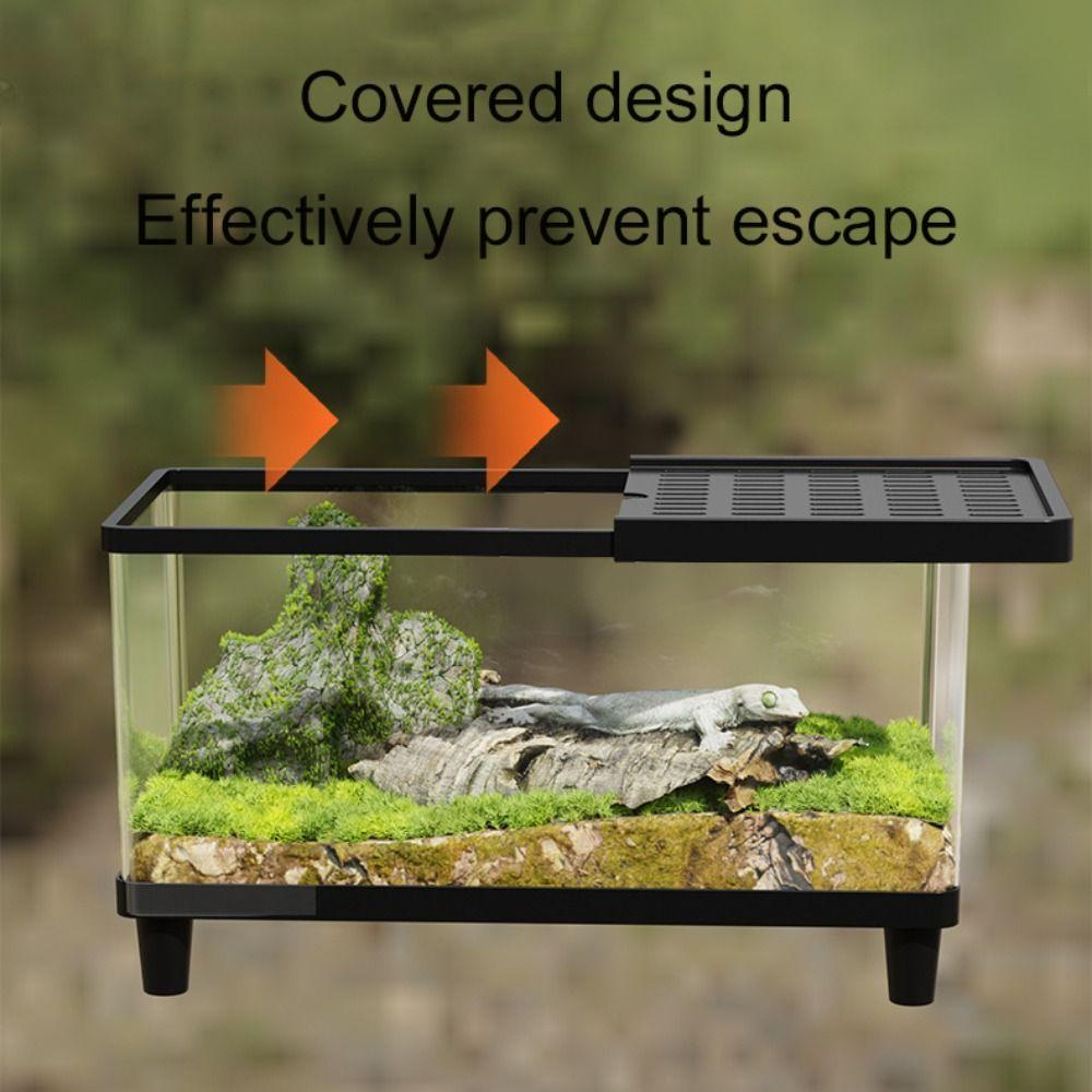 Transparent Reptile Terrarium Visual Reptile Habitat Insect Observation Box  Amphibians