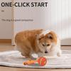 Hunde – Hundespielzeug