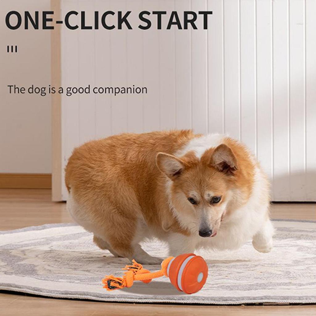 Smart Automatic Rolling Ball Colorful Chew Toys Pet Accessories for Puppy Chewing Exercise Playing Teeth Cleaning