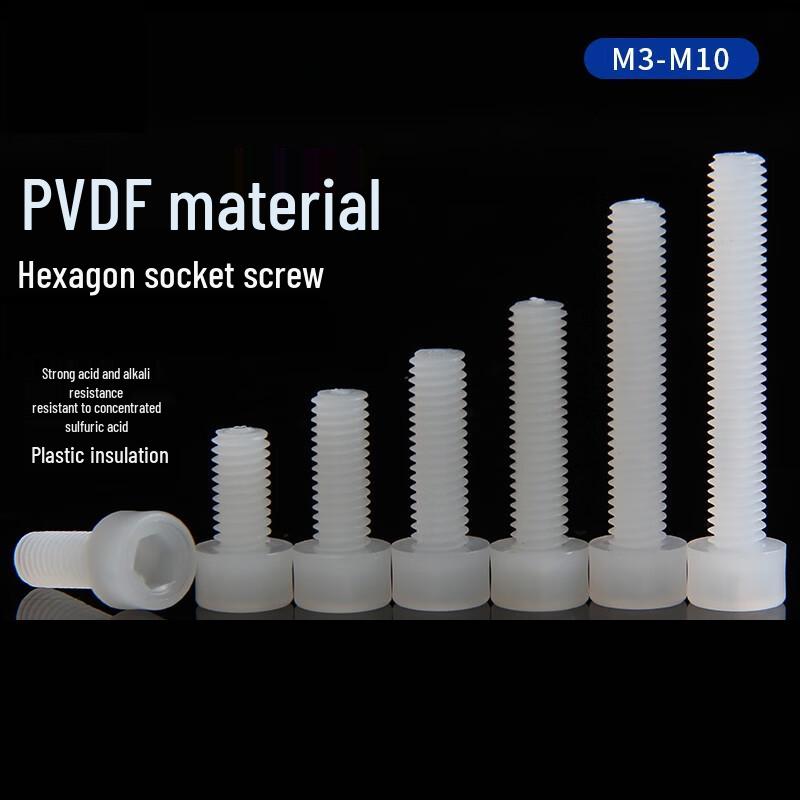 Lanshi PVDF Plastic Hex Socket Head Cap Screws