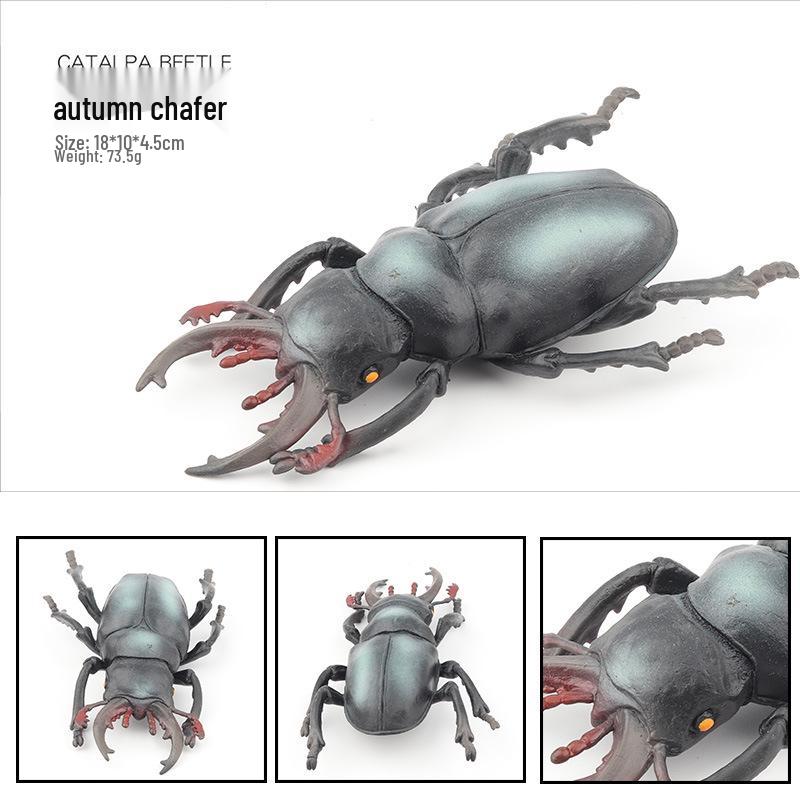 Large Insect Model Toy Set: Spider, Scorpion, Rhinoceros Beetle, Bee, Dragonfly