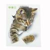 Cute Cat Wall Sticker For Living Room Bedroom Cupboard Toilet Decoration