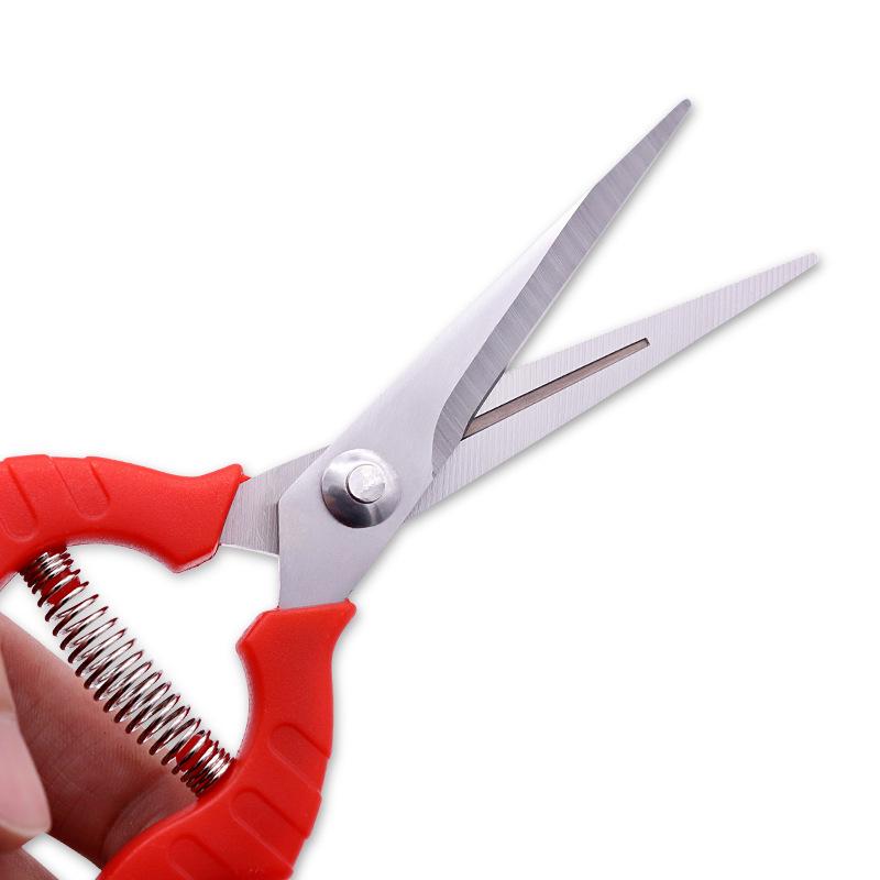 Bonsai Pruning Shears: Labor-saving Horticultural Scissors for Garden and Fruit Tree Care