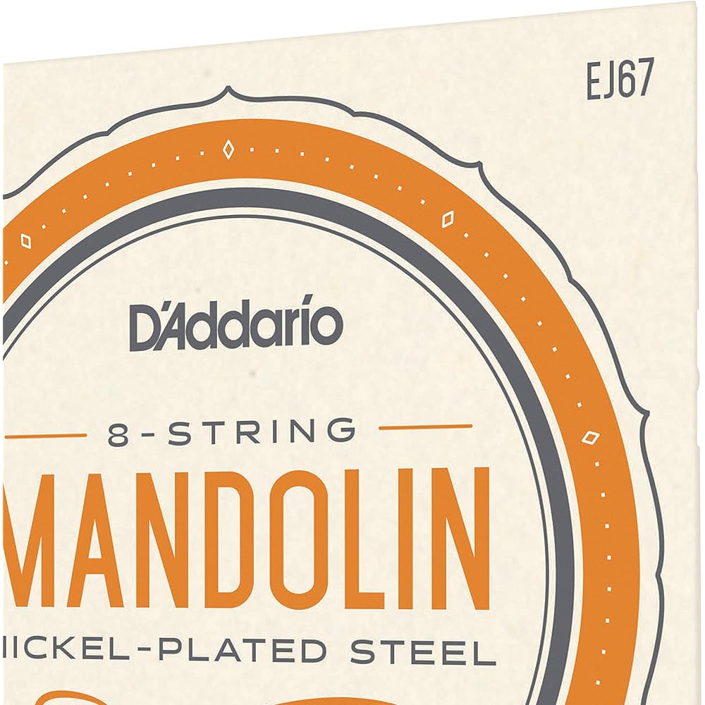 D'Addario Daddario Mandolin String Nickel Medium .011-.039 EJ67 [Domestic Genuine]